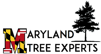 Maryland Tree Experts